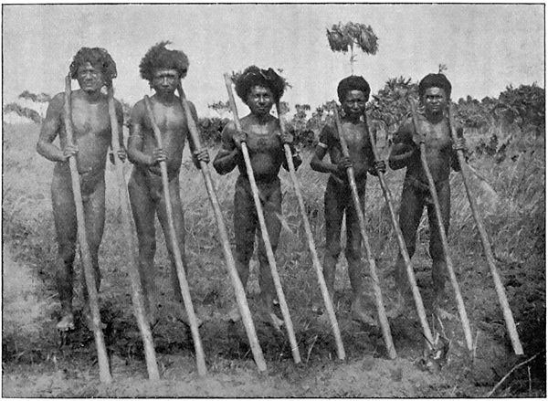 Papuans of the Kerepunu Tribe