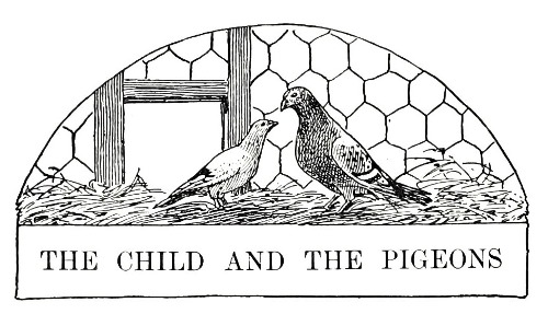 The child and the pigeons