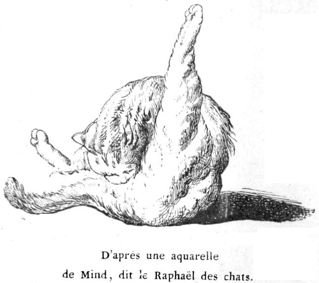 Le Singe De Doigt De Singe De Poche Aka Saute à Cloche-pied Sur Le