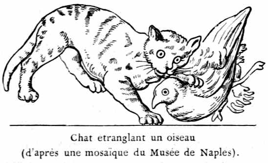 The Project Gutenberg Ebook Of Les Chats By Champfleury