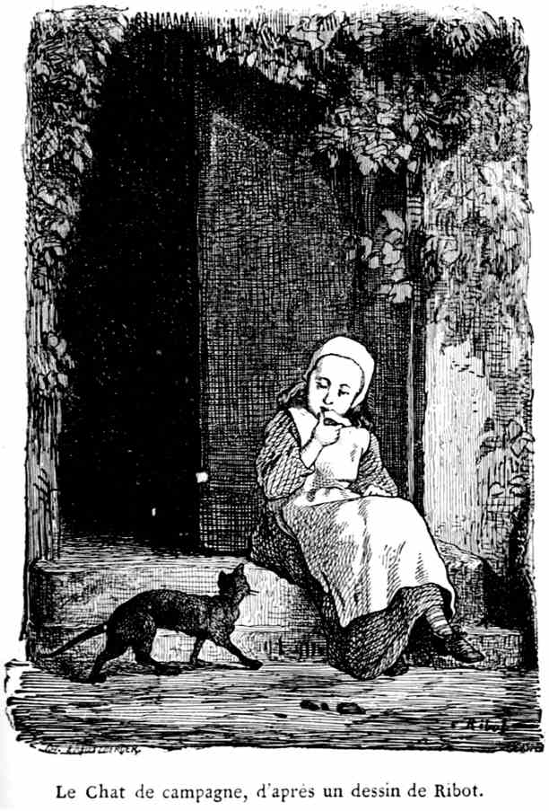 Le chat noir : porte-bonheur ou malheur ? – ÉQUILIBRE & INSTINCT