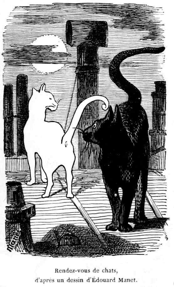 The Project Gutenberg Ebook Of Les Chats By Champfleury