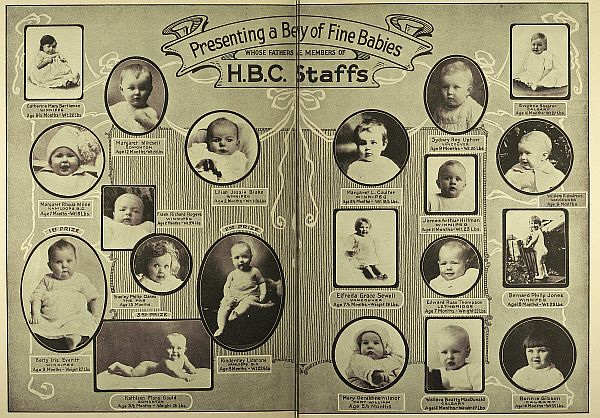 Presenting a Bevy of Fine Babies whose fathers are members of H.B.C. Staffs