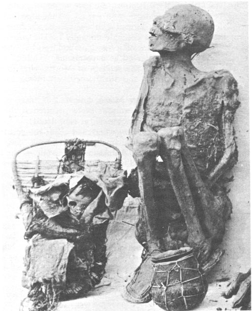 Mummies of Aztec Ruins.