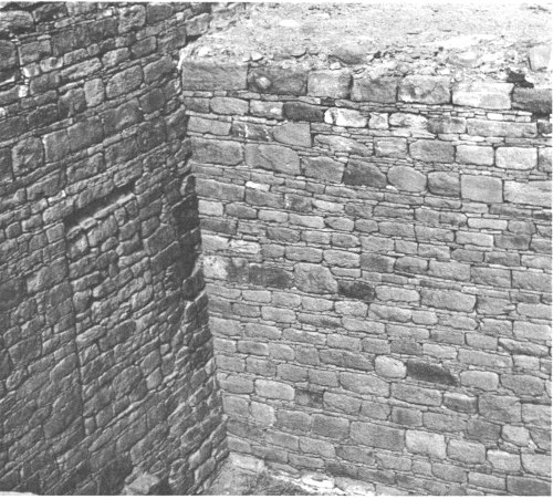 Section of wall at Aztec Ruins showing sealed door at left.