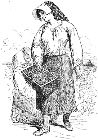 Vintager with a Basket Full of Grapes
