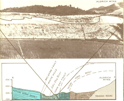 Fig. 3.&mdash;View of the John Day fault in Mascall Formation at the mouth of Fields Creek, and its relation to the structure of the John Day River valley.