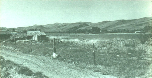 Fig. 4.&mdash;View northwest across the John Day River valley toward Picture Gorge.