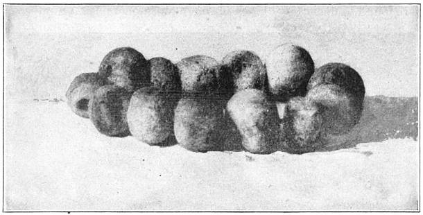 Fig. 55. Perforated beads found in Mound No. 16.