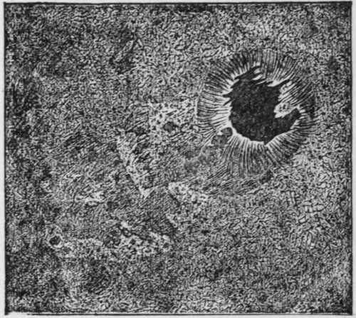 Fig. 5.—Ordinary Sun-spot, June 22, 1885.