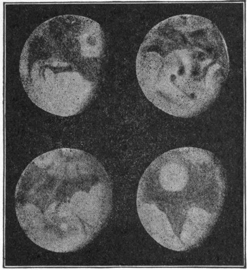 Fig. 12.—Four views of Mars differing 90° in longitude (Barnard).
