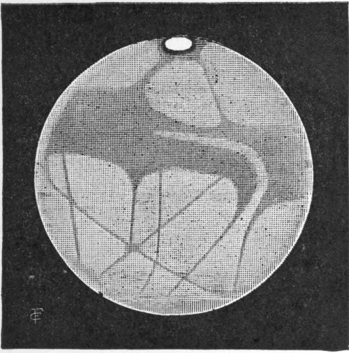 Fig. 13.—Mars, August 27, 1892 (Guiot).