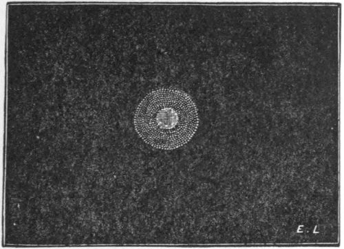 Fig. 22.—Holmes’s Comet, Nov. 9, 1892 (Denning).