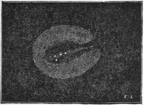 Fig. 23.—Holmes’s Comet, Nov. 16, 1892 (Denning).