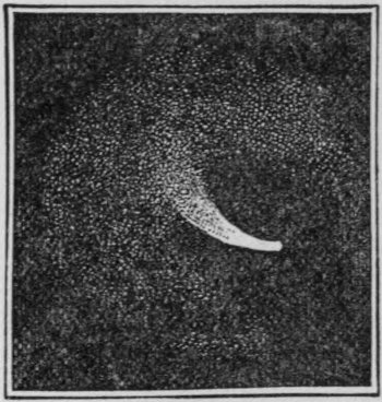 Fig. 24.—Comet III. of 1862, on Aug 22, showing jet of luminous matter (Challis).