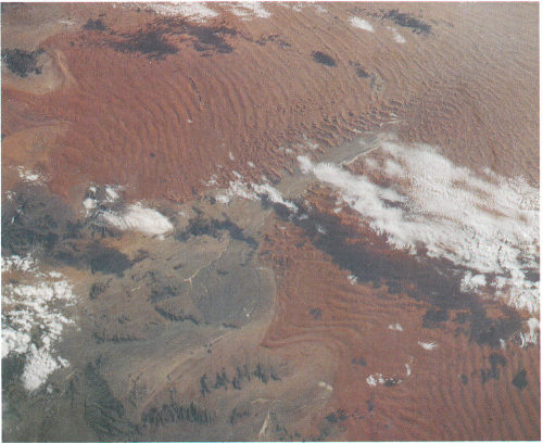 Crescent-shaped dunes are common in coastal deserts such as the Namib, Africa, with prevailing onshore winds. Low clouds cover parts of the Namib in this space shuttle photo.