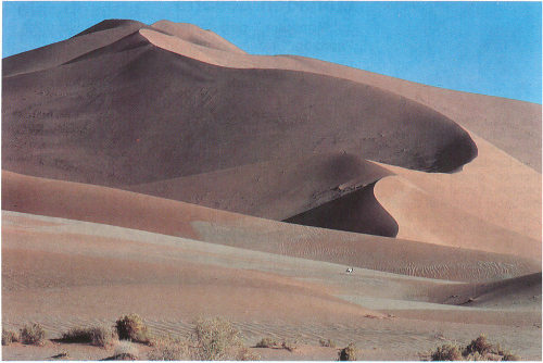 High dunes of the Namib Desert near Sossus Vlei (photograph by Georg Gerster).