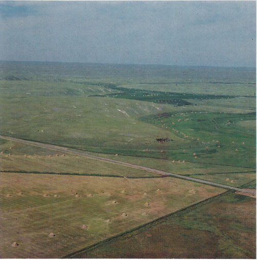 This aerial photograph of the Nebraska Sand Hills paleodesert shows a well-preserved crescent-shaped dune (or barchan) about 60 to 75 meters high (photograph by Thomas S. Ahlbrandt).