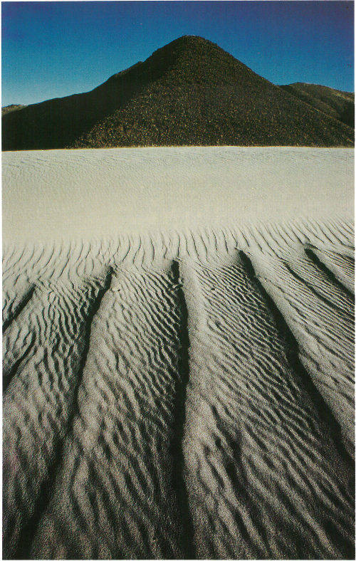 Ripples on a dune in Eureka Valley, California (photograph by Terrence Moore).