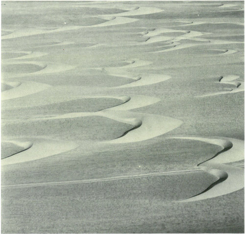 These crescentic dunes of coastal Peru are migrating toward the left (photograph by John McCauley).