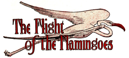 The Flight of the Flamingoes