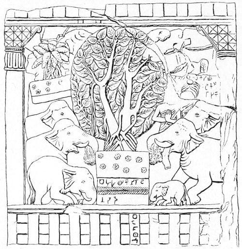 Fig. 20.—Wild elephants paying their devotions to the sacred banian of Kâsyapa Buddha.(The Stûpa of Bharhut, Plate xv.)