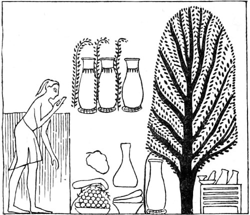 Fig. 21.—Sacred sycamore, with offerings.(Maspero, op. cit.)