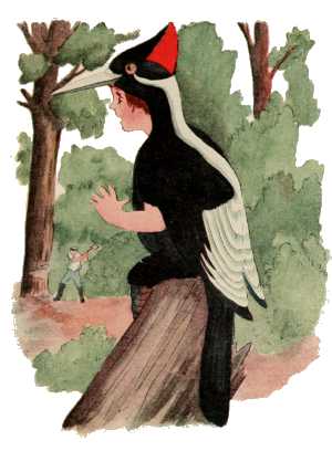 Ivory-Billed Woodpecker