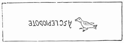 Illustration: Fig. 125.—Inscription upside down.