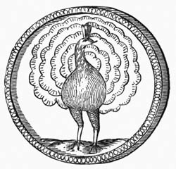 Illustration: Fig. 46.—Symbolical Peacock.