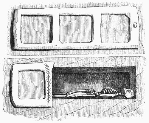 Illustration: Fig. 6.—Loculi—Open and Closed.
