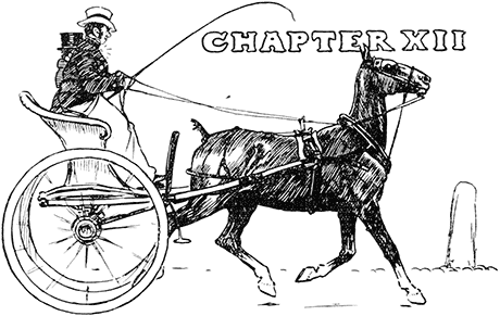 CHAPTER XII