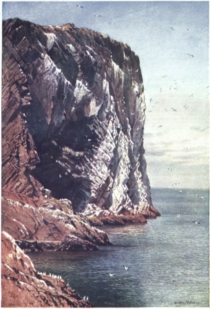 THE BASS ROCK, FIRTH OF FORTH, OFF THE COAST OF
HADDINGTONSHIRE