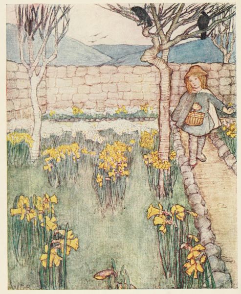 girl on path looking at daffodils