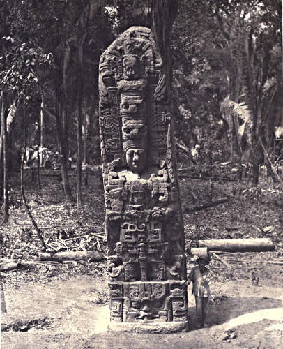 Quirigua, stela D north face
