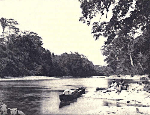 On the Belize river