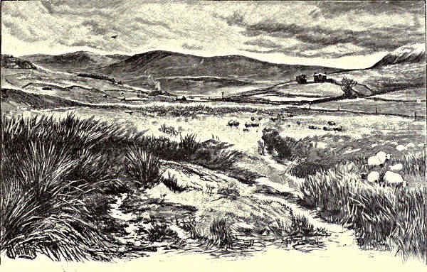 KEILDER MOORS (WITH PEEL FELL TO THE RIGHT).