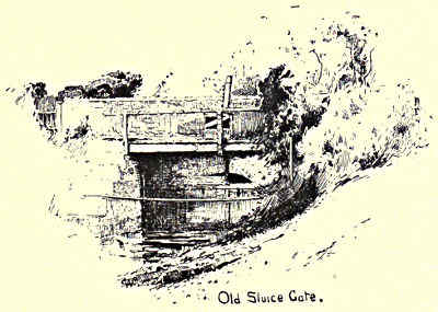 Old Sluice Gate. AT AXHOLME.