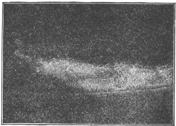 Exercise No. 12.—Reclining arms hanging, raising bells
upward and outward from the body, level with shoulders. Reversing that
motion by bringing bells from position illustrated in No. 11 to position
on level with the shoulders, as illustrated in No. 12.