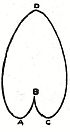 diagram of sole pattern: looks like an upside down heart