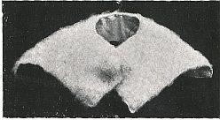 collar with big button at close