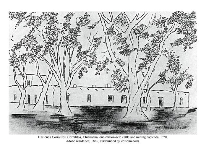 Hacienda Corralitos, Corralitos, Chihuahua: one-million-acre cattle and mining hacienda, 1750. Adobe residence, 1886, surrounded by cottonwoods.