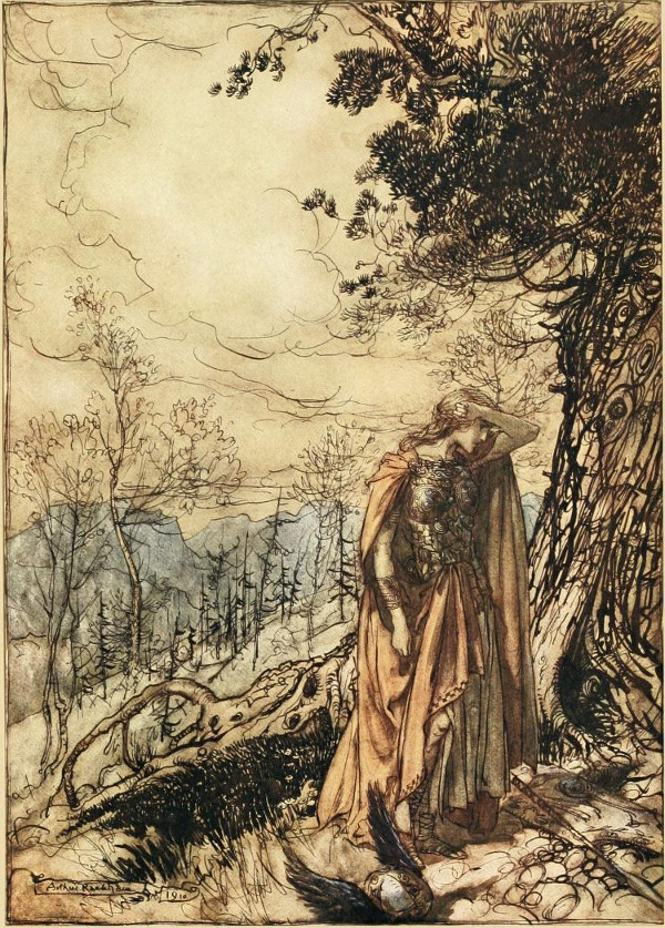 The Project Gutenberg eBook of The Rhinegold and the Valkyrie, by