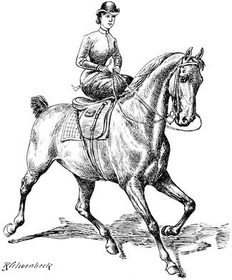 Springreiter mit Hinderniss Reiter Pferd Horse Figur Reitsport 24 cm 