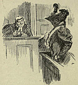 Veiled lady in the witness box
