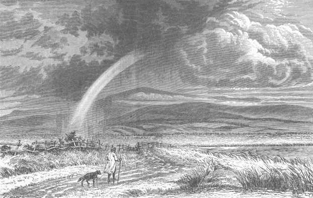 The marsh behind Borth