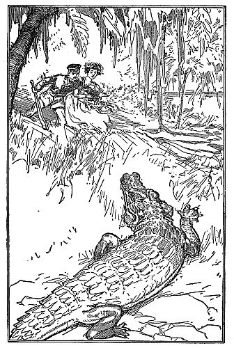 Alligarot popping up to say hello to two people