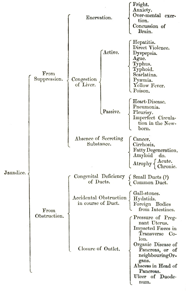 Pathology of Jaundice
