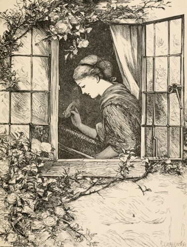 woman working viewed through open window