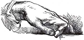 HUMAN HAND